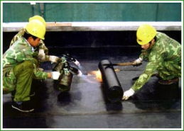 杭州旺旺家政公司 专业防水补漏服务与高清图解